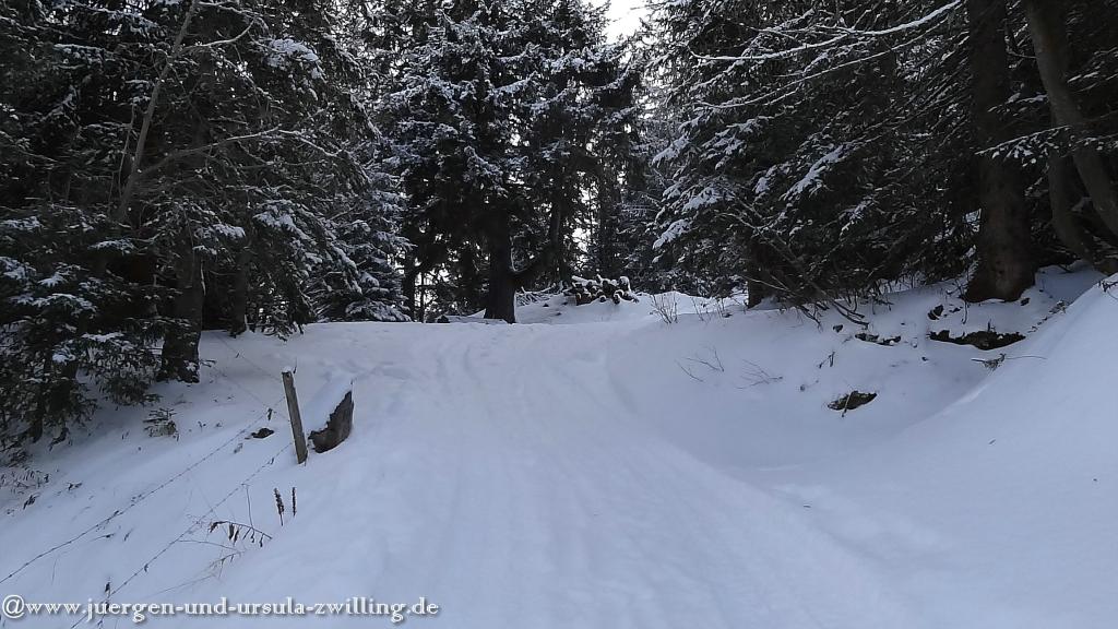Philosophische Bildwanderung - Winterwanderung-Vom Schönblick nach Hochleite - im Allgaeu