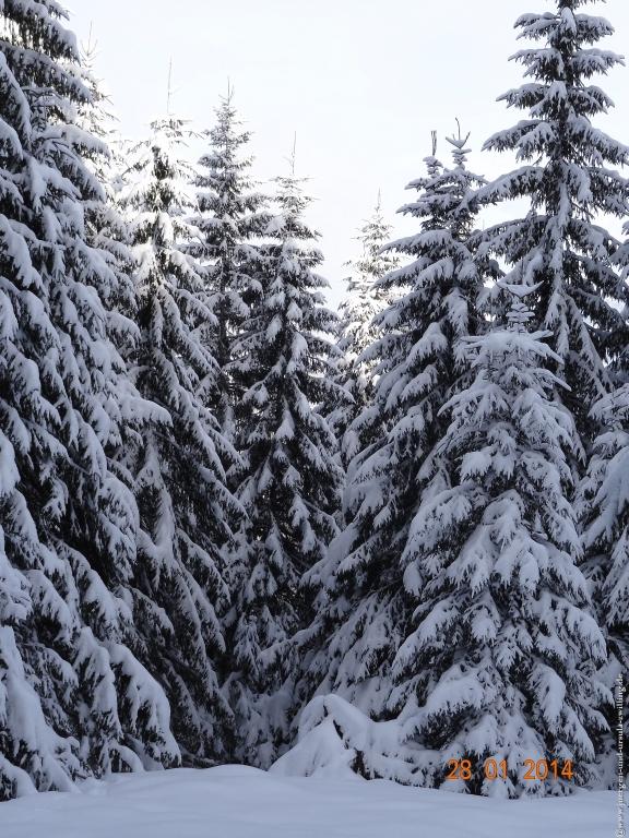 Philosophische Bildwanderung - Winterwanderung-Vom Schönblick nach Hochleite - im Allgaeu