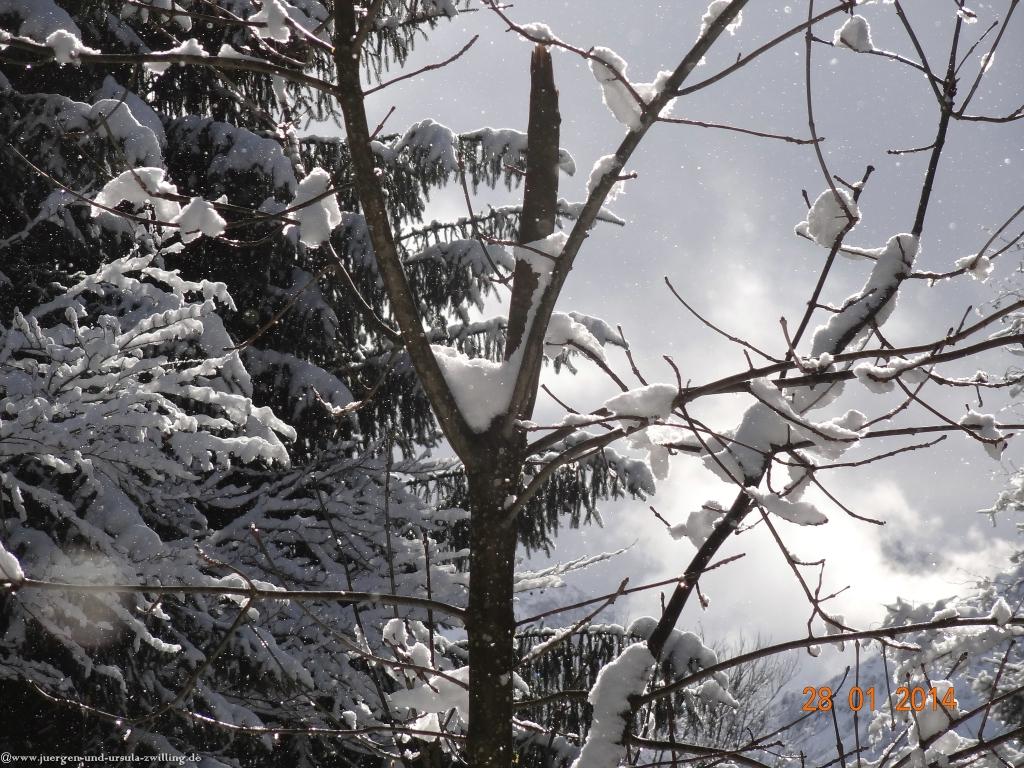 Philosophische Bildwanderung - Winterwanderung-Vom Schönblick nach Hochleite - im Allgaeu