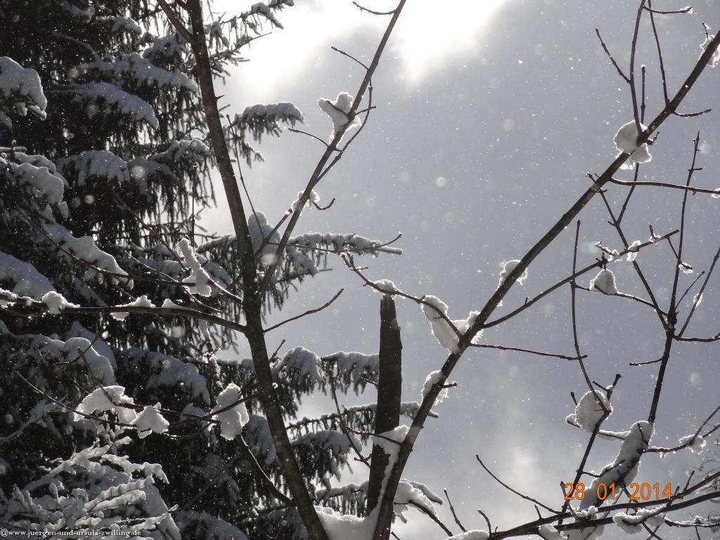 Philosophische Bildwanderung - Winterwanderung-Vom Schönblick nach Hochleite - im Allgaeu
