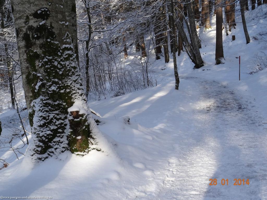 Philosophische Bildwanderung - Winterwanderung-Vom Schönblick nach Hochleite - im Allgaeu