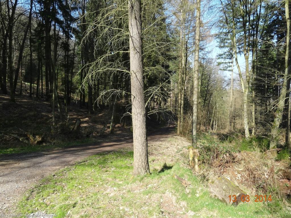 Philosophische Bildwanderungen Annweiler-Richard-Loewenherz-Weg 