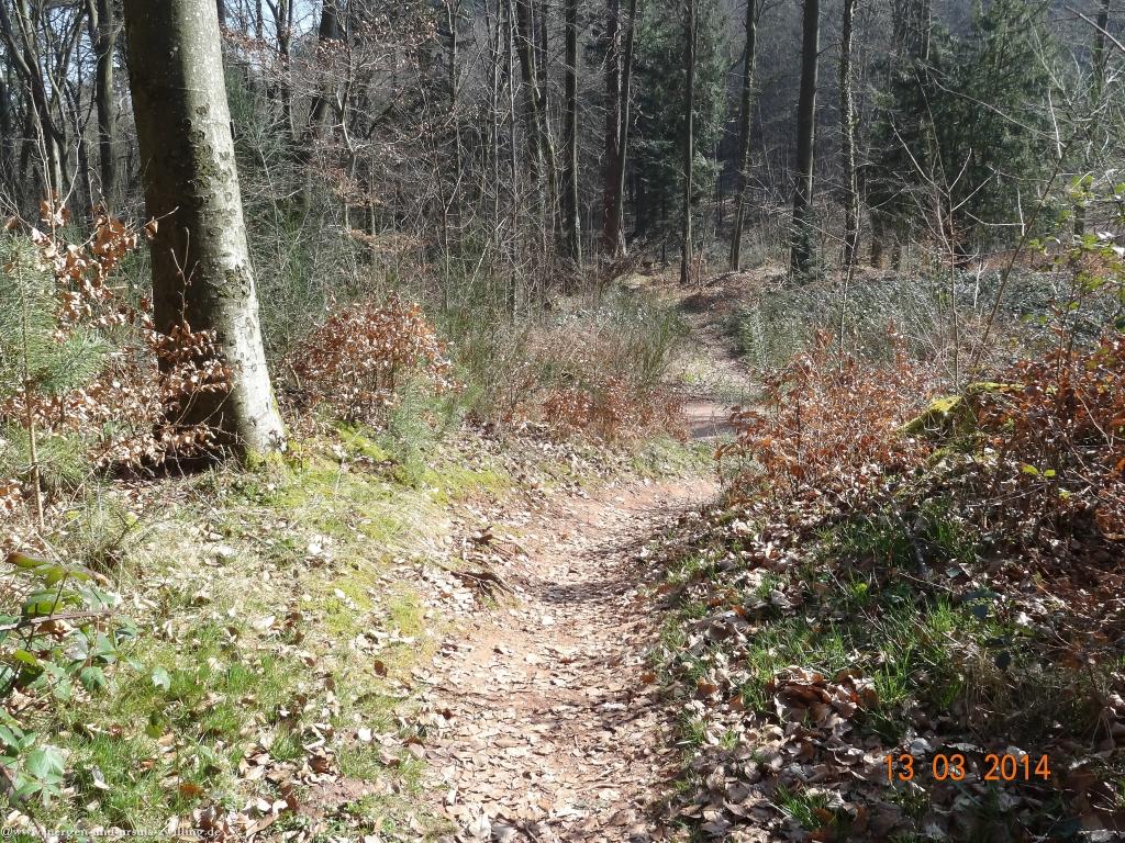 Philosophische Bildwanderungen Annweiler-Richard-Loewenherz-Weg 