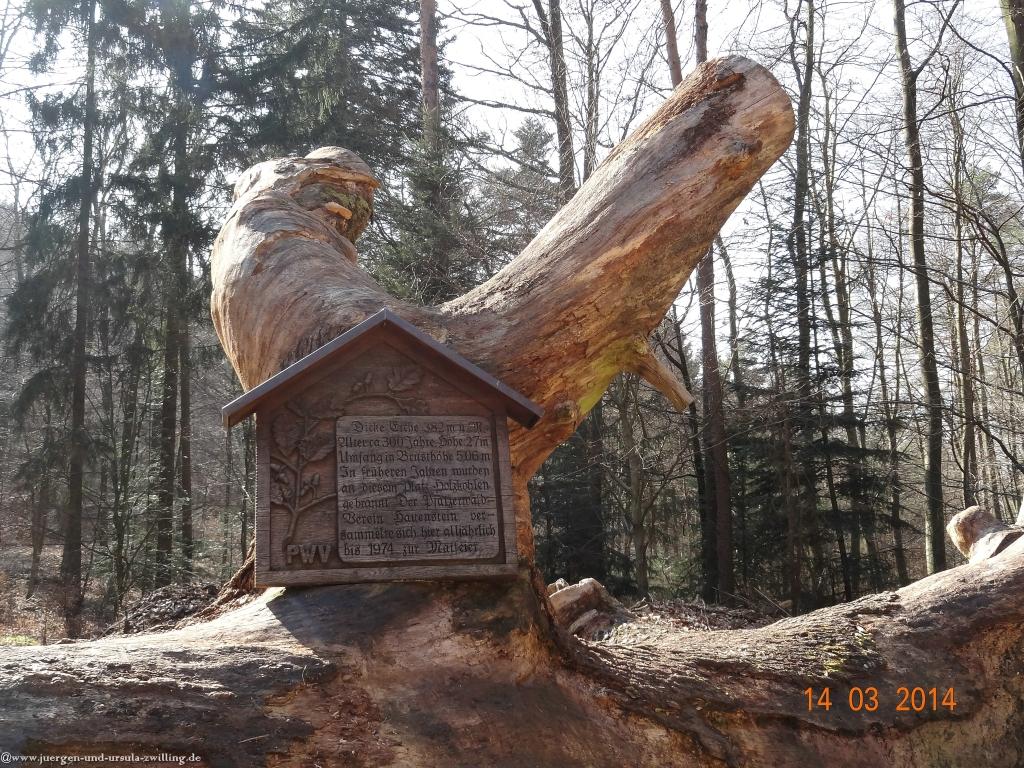 Philosophische Bildwanderungen Hauensteiner-Schusterpfad 