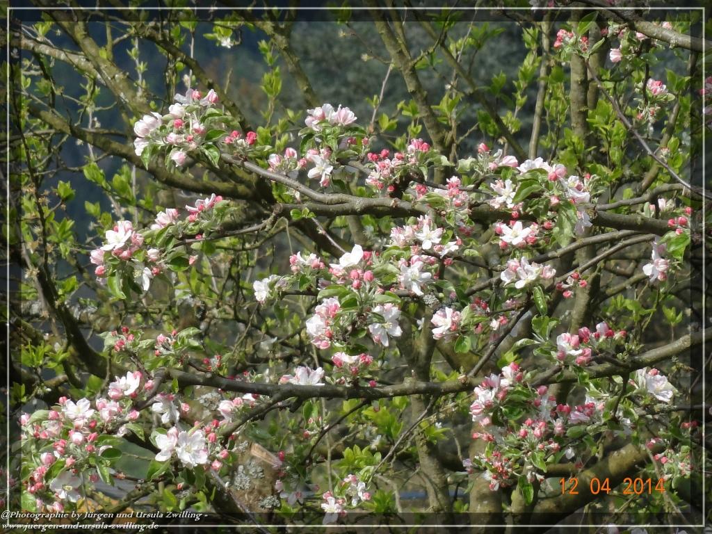 Philosophische Bildwanderung -  Erlebnisweg Lindenfels - Odenwald