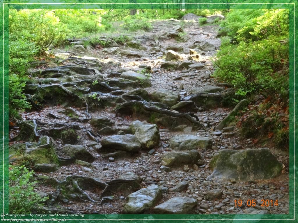 Philosophische BildwanderungBodenmais - Rißlochfälle - Kleiner Arber - Großer Arber - Rißlaisoch - Bodenmais