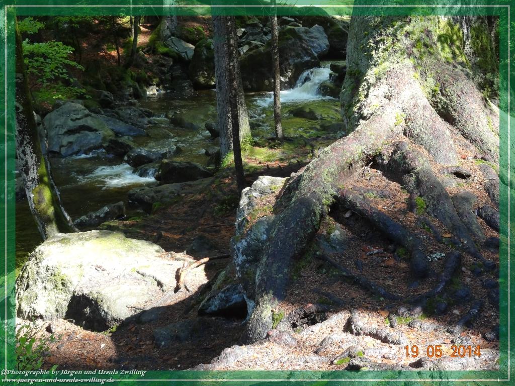 Philosophische BildwanderungBodenmais - Rißlochfälle - Kleiner Arber - Großer Arber - Rißlaisoch - Bodenmais