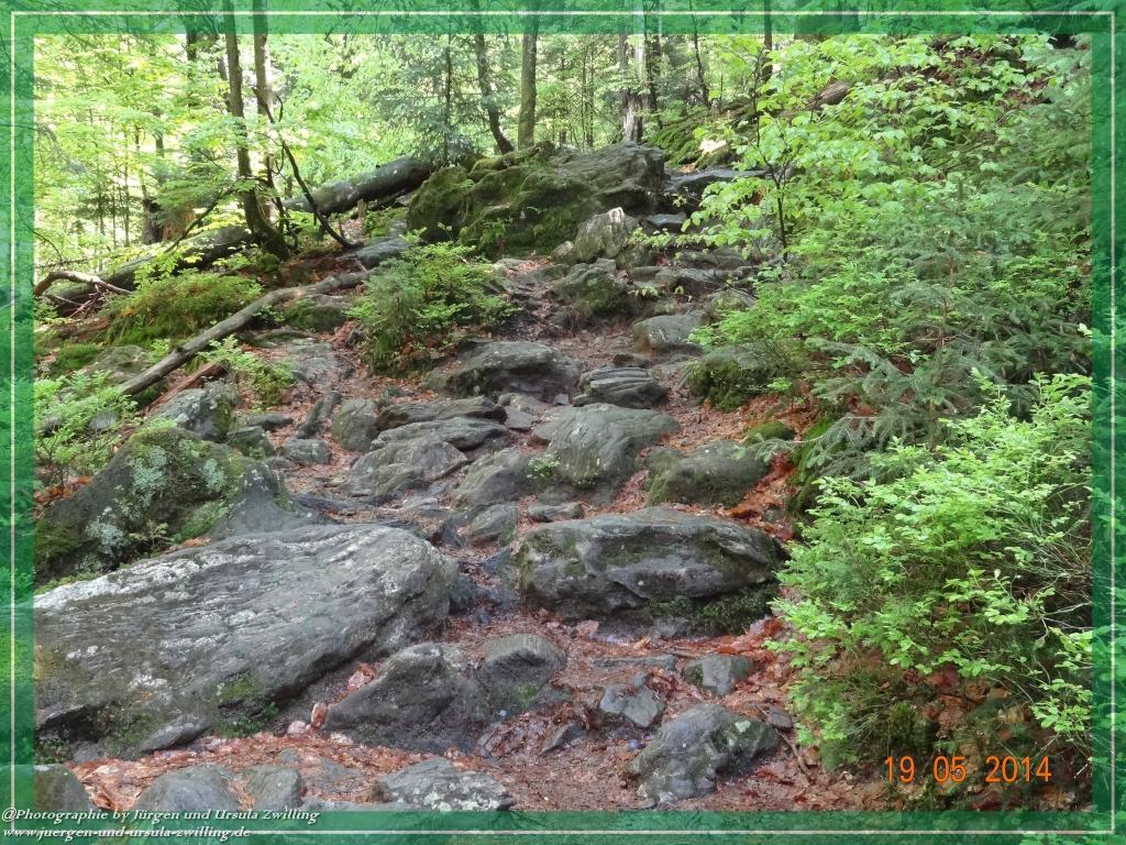 Philosophische BildwanderungBodenmais - Rißlochfälle - Kleiner Arber - Großer Arber - Rißlaisoch - Bodenmais