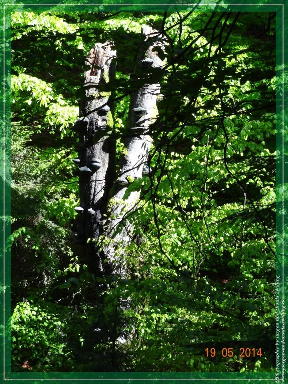 Philosophische BildwanderungBodenmais - Rißlochfälle - Kleiner Arber - Großer Arber - Rißlaisoch - Bodenmais