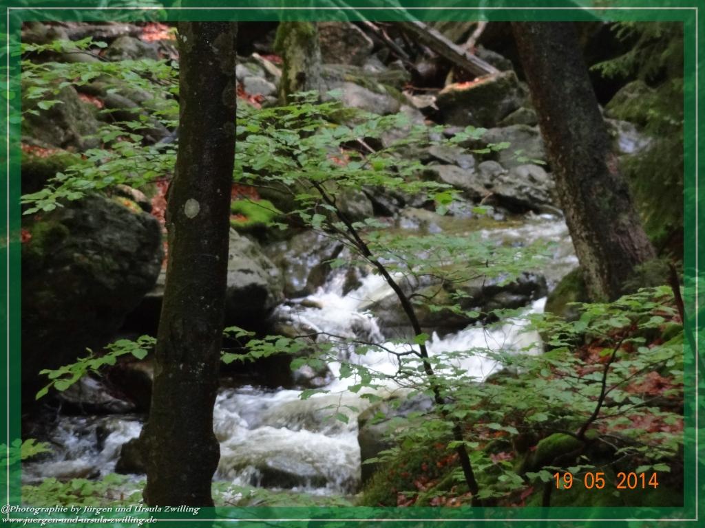 Philosophische BildwanderungBodenmais - Rißlochfälle - Kleiner Arber - Großer Arber - Rißlaisoch - Bodenmais