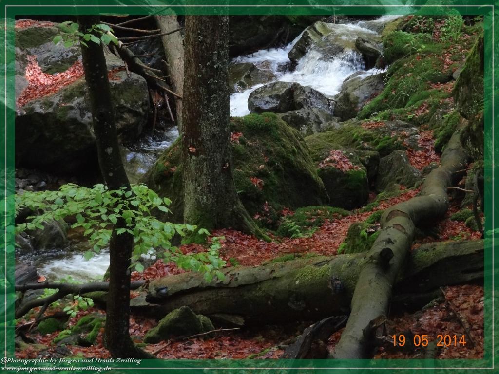 Philosophische BildwanderungBodenmais - Rißlochfälle - Kleiner Arber - Großer Arber - Rißlaisoch - Bodenmais