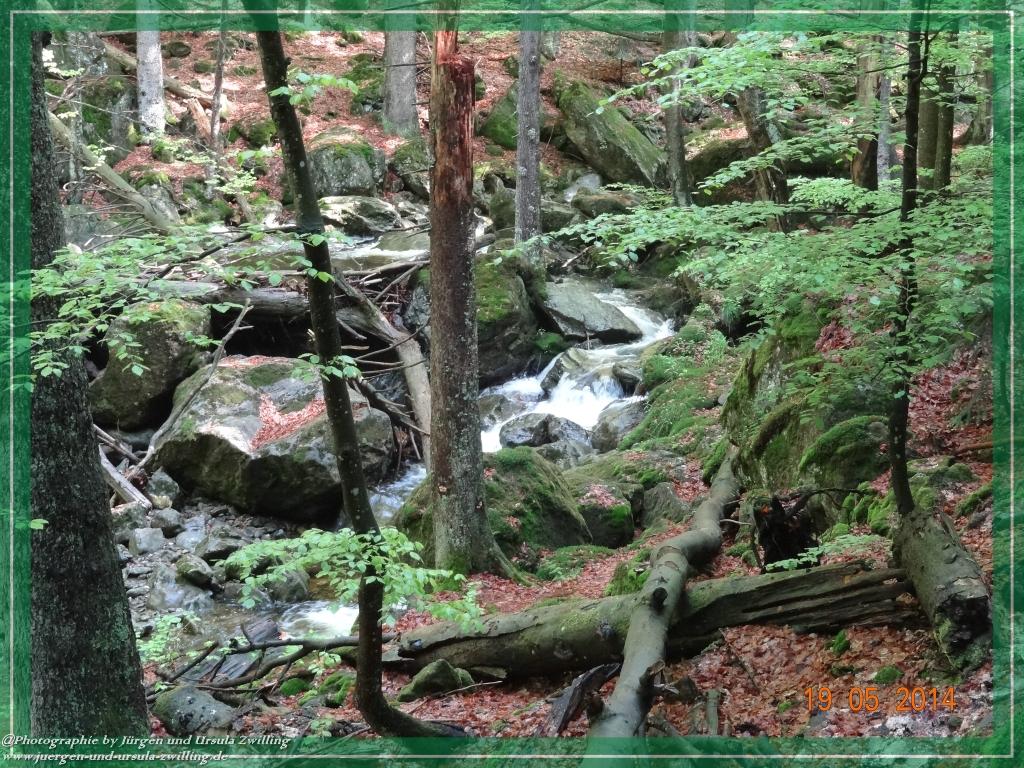 Philosophische BildwanderungBodenmais - Rißlochfälle - Kleiner Arber - Großer Arber - Rißlaisoch - Bodenmais