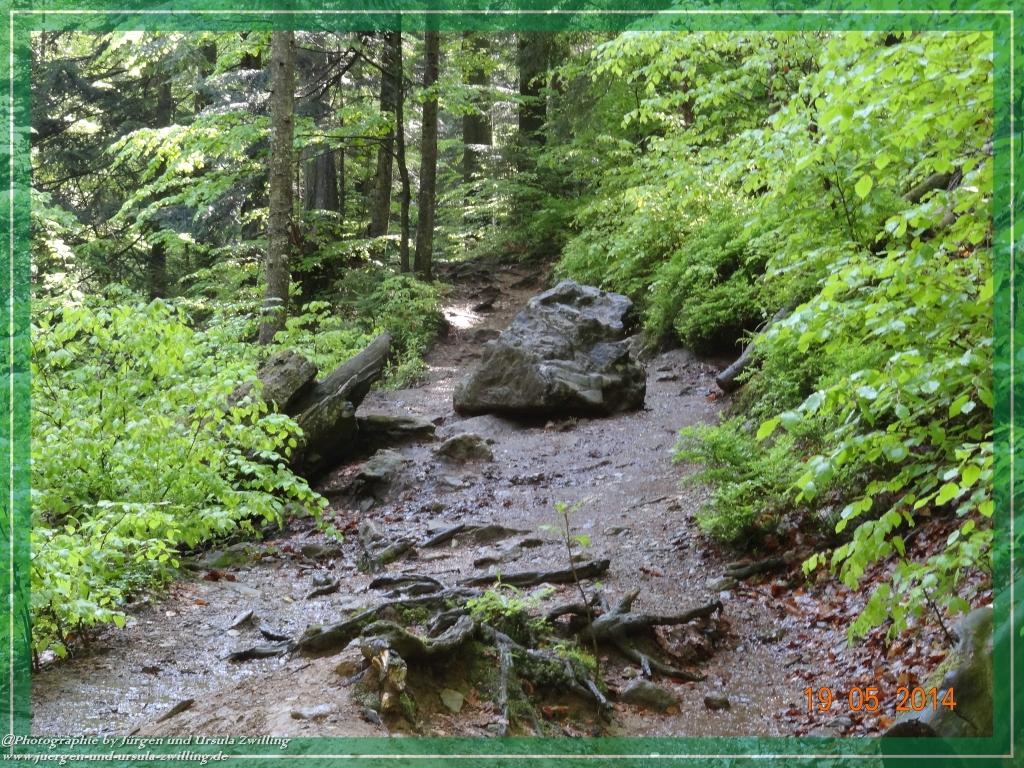 Philosophische BildwanderungBodenmais - Rißlochfälle - Kleiner Arber - Großer Arber - Rißlaisoch - Bodenmais