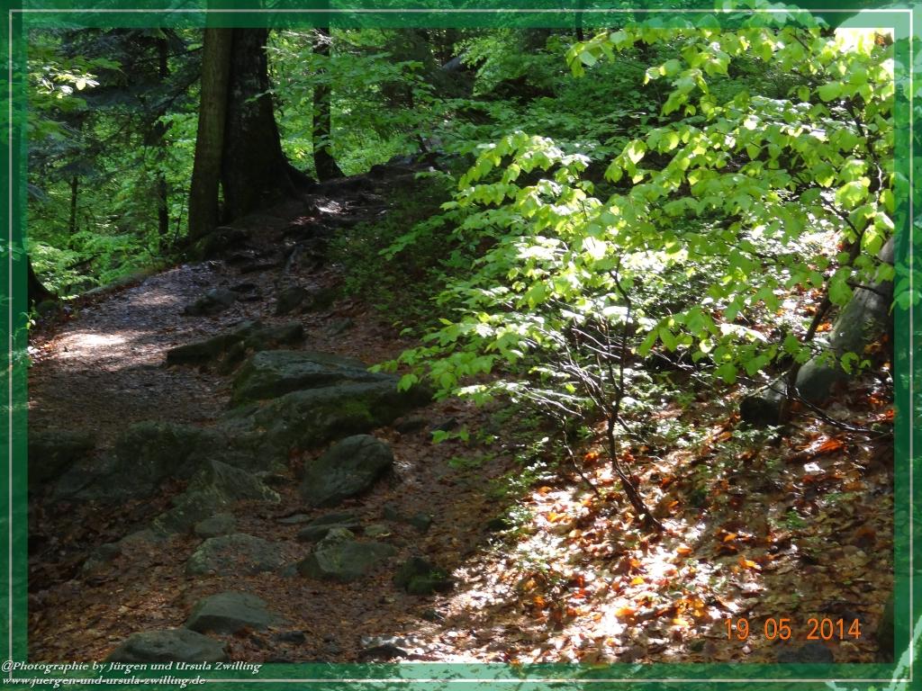 Philosophische BildwanderungBodenmais - Rißlochfälle - Kleiner Arber - Großer Arber - Rißlaisoch - Bodenmais