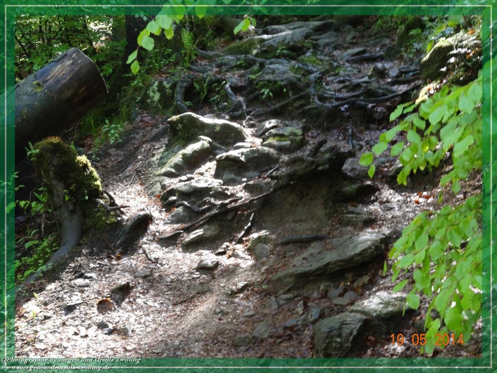 Philosophische BildwanderungBodenmais - Rißlochfälle - Kleiner Arber - Großer Arber - Rißlaisoch - Bodenmais