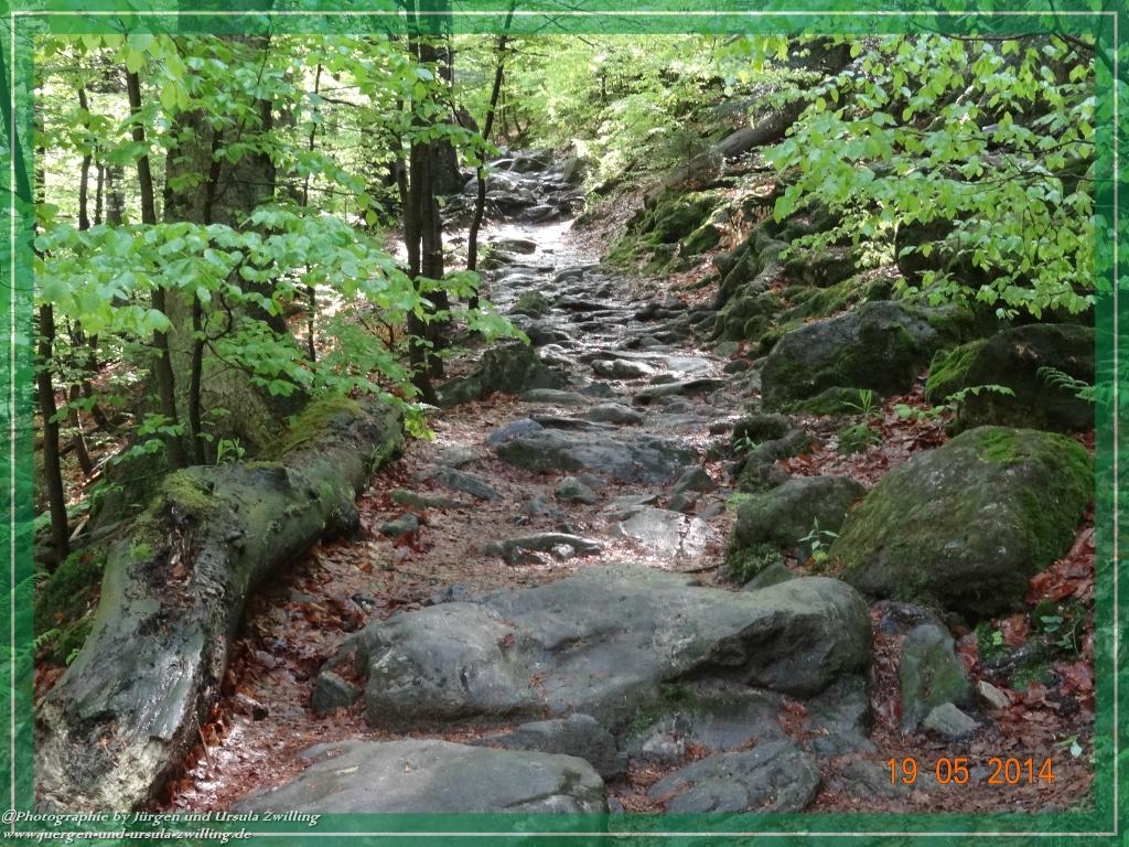 Philosophische BildwanderungBodenmais - Rißlochfälle - Kleiner Arber - Großer Arber - Rißlaisoch - Bodenmais