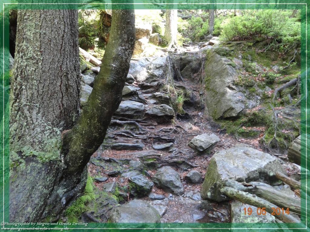 Philosophische BildwanderungBodenmais - Rißlochfälle - Kleiner Arber - Großer Arber - Rißlaisoch - Bodenmais