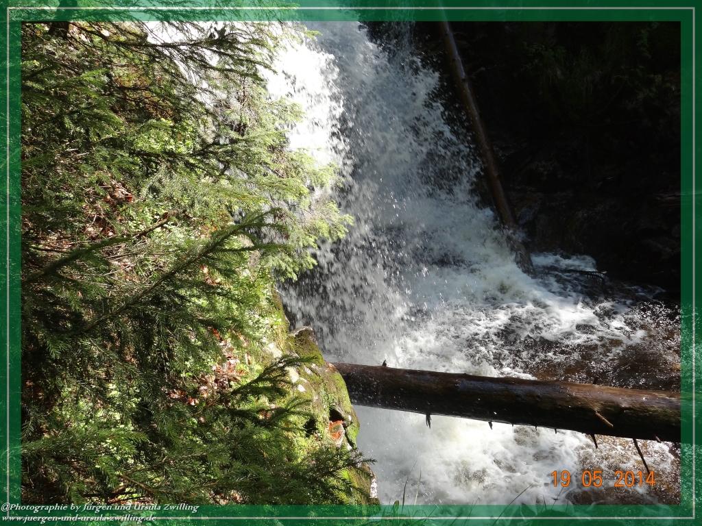 Philosophische BildwanderungBodenmais - Rißlochfälle - Kleiner Arber - Großer Arber - Rißlaisoch - Bodenmais