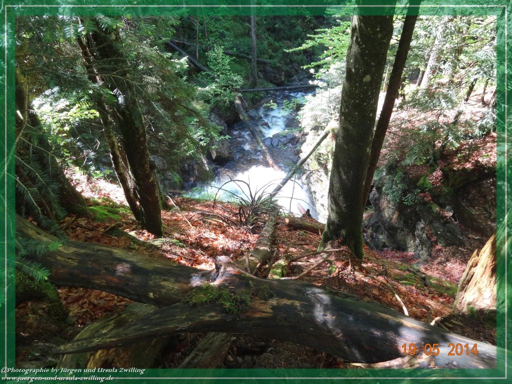 Philosophische BildwanderungBodenmais - Rißlochfälle - Kleiner Arber - Großer Arber - Rißlaisoch - Bodenmais