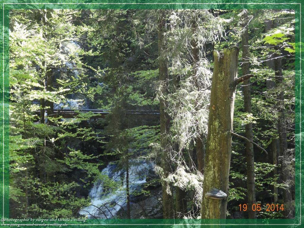 Philosophische BildwanderungBodenmais - Rißlochfälle - Kleiner Arber - Großer Arber - Rißlaisoch - Bodenmais