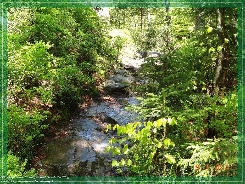 Philosophische BildwanderungBodenmais - Rißlochfälle - Kleiner Arber - Großer Arber - Rißlaisoch - Bodenmais