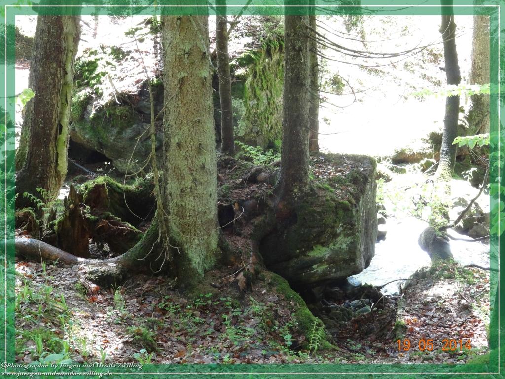 Philosophische BildwanderungBodenmais - Rißlochfälle - Kleiner Arber - Großer Arber - Rißlaisoch - Bodenmais