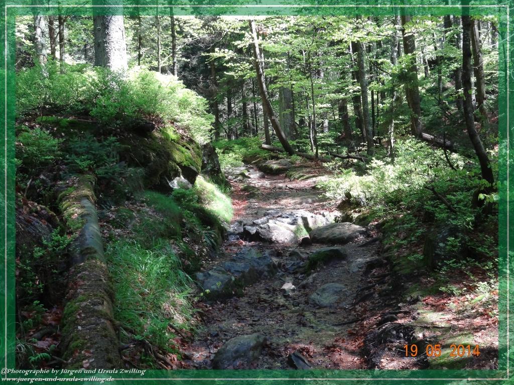 Philosophische BildwanderungBodenmais - Rißlochfälle - Kleiner Arber - Großer Arber - Rißlaisoch - Bodenmais