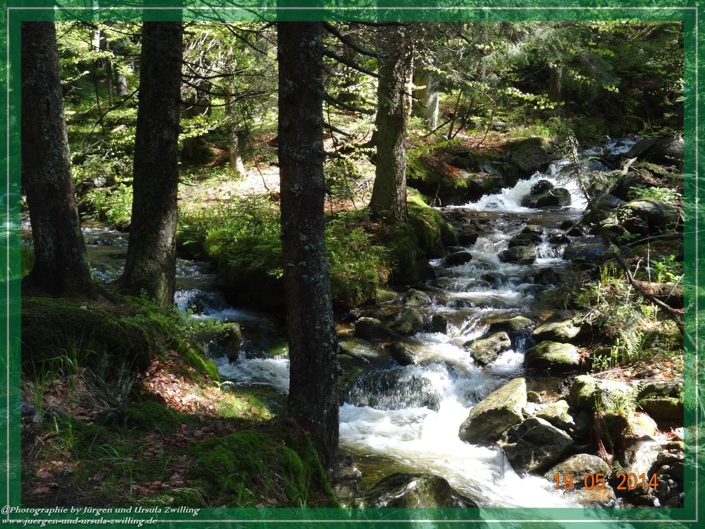 Philosophische BildwanderungBodenmais - Rißlochfälle - Kleiner Arber - Großer Arber - Rißlaisoch - Bodenmais