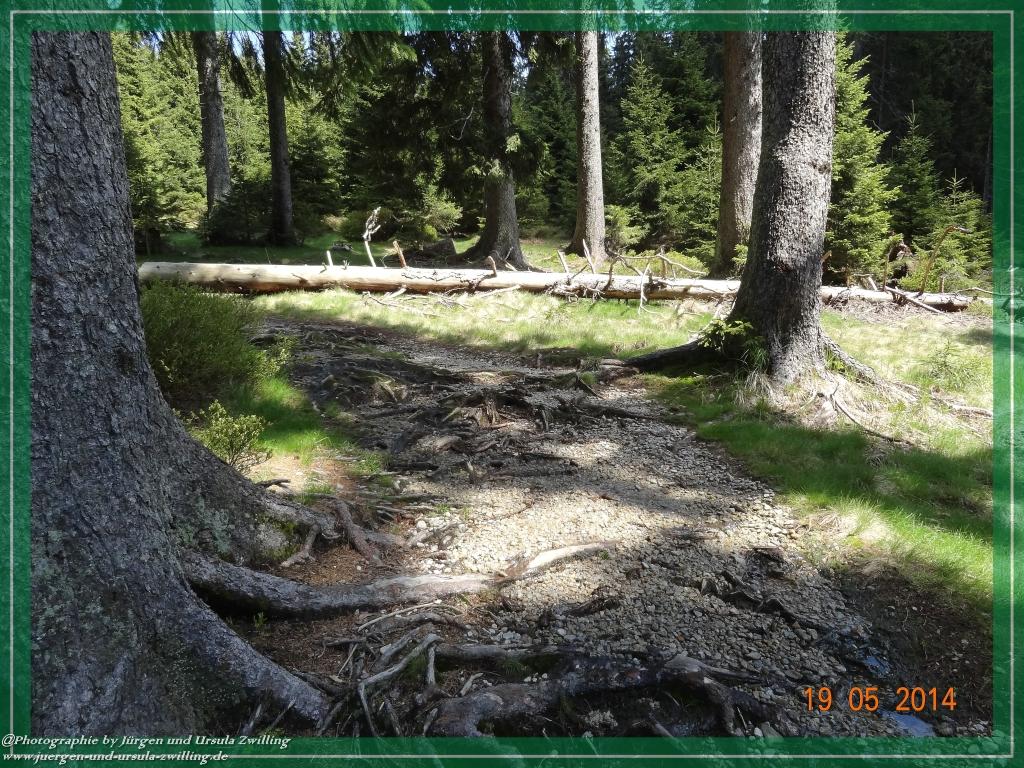 Philosophische BildwanderungBodenmais - Rißlochfälle - Kleiner Arber - Großer Arber - Rißlaisoch - Bodenmais