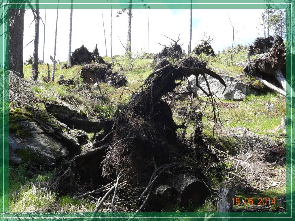 Philosophische BildwanderungBodenmais - Rißlochfälle - Kleiner Arber - Großer Arber - Rißlaisoch - Bodenmais