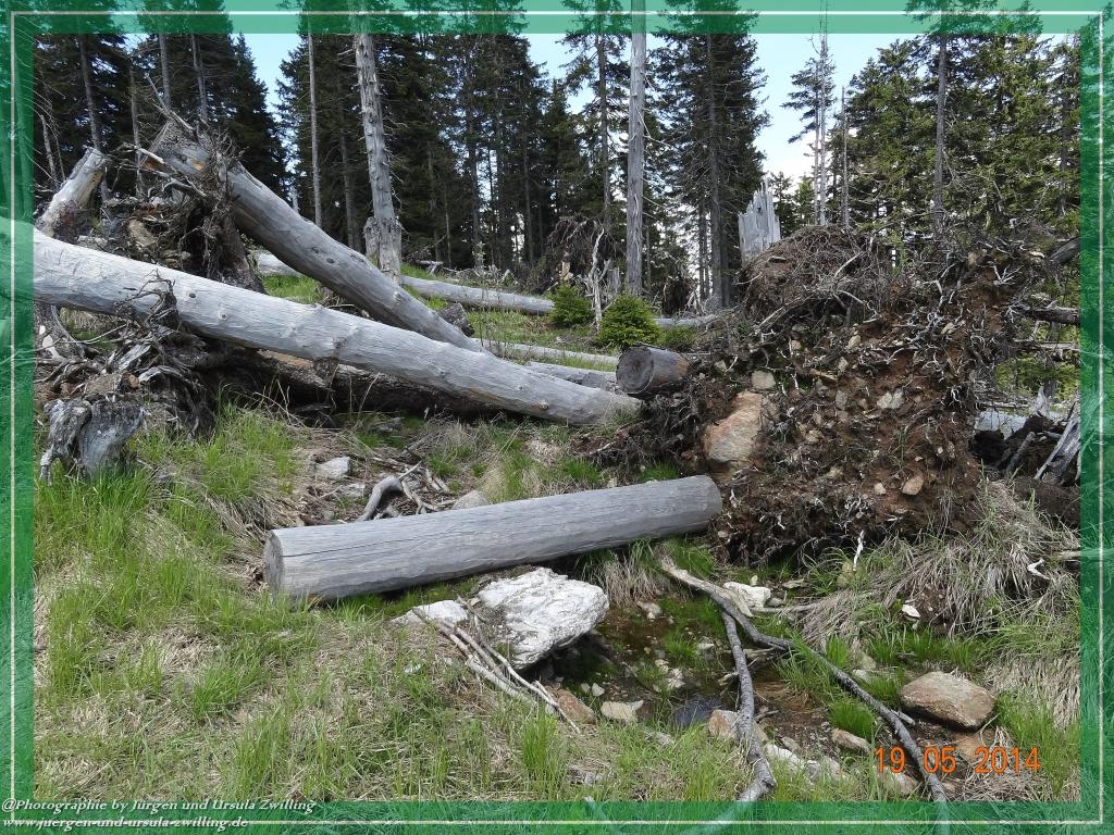 Philosophische BildwanderungBodenmais - Rißlochfälle - Kleiner Arber - Großer Arber - Rißlaisoch - Bodenmais