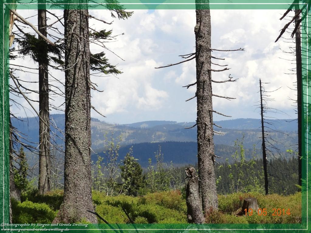 Philosophische BildwanderungBodenmais - Rißlochfälle - Kleiner Arber - Großer Arber - Rißlaisoch - Bodenmais