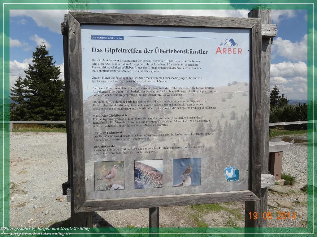 Philosophische BildwanderungBodenmais - Rißlochfälle - Kleiner Arber - Großer Arber - Rißlaisoch - Bodenmais