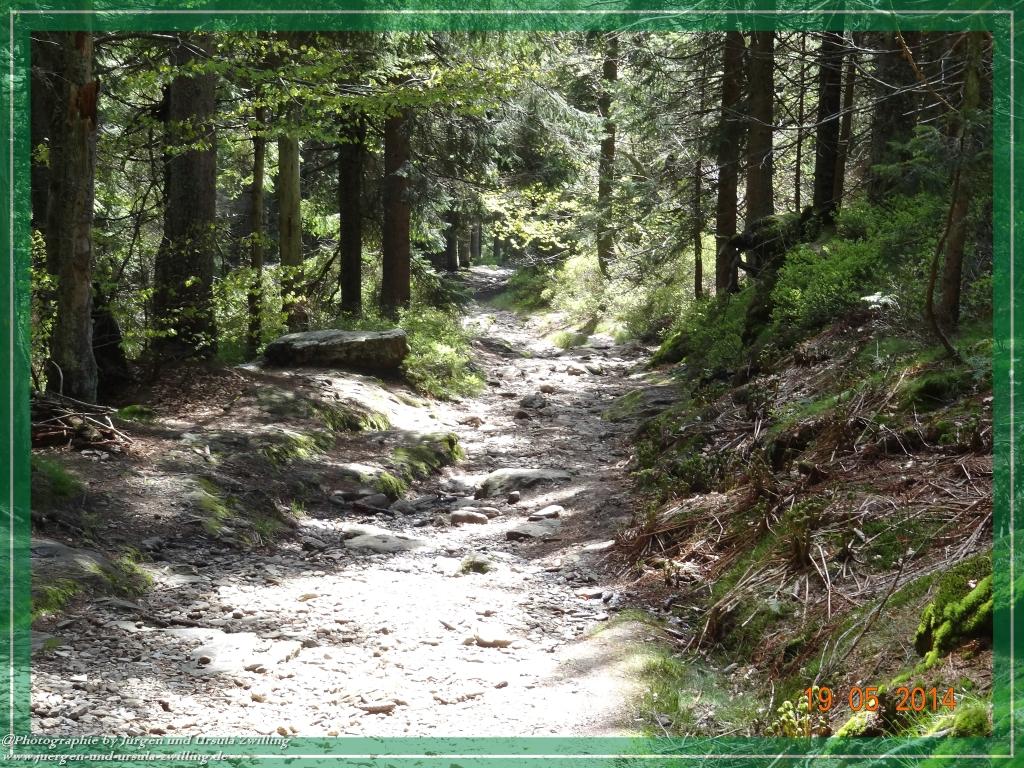 Philosophische BildwanderungBodenmais - Rißlochfälle - Kleiner Arber - Großer Arber - Rißlaisoch - Bodenmais