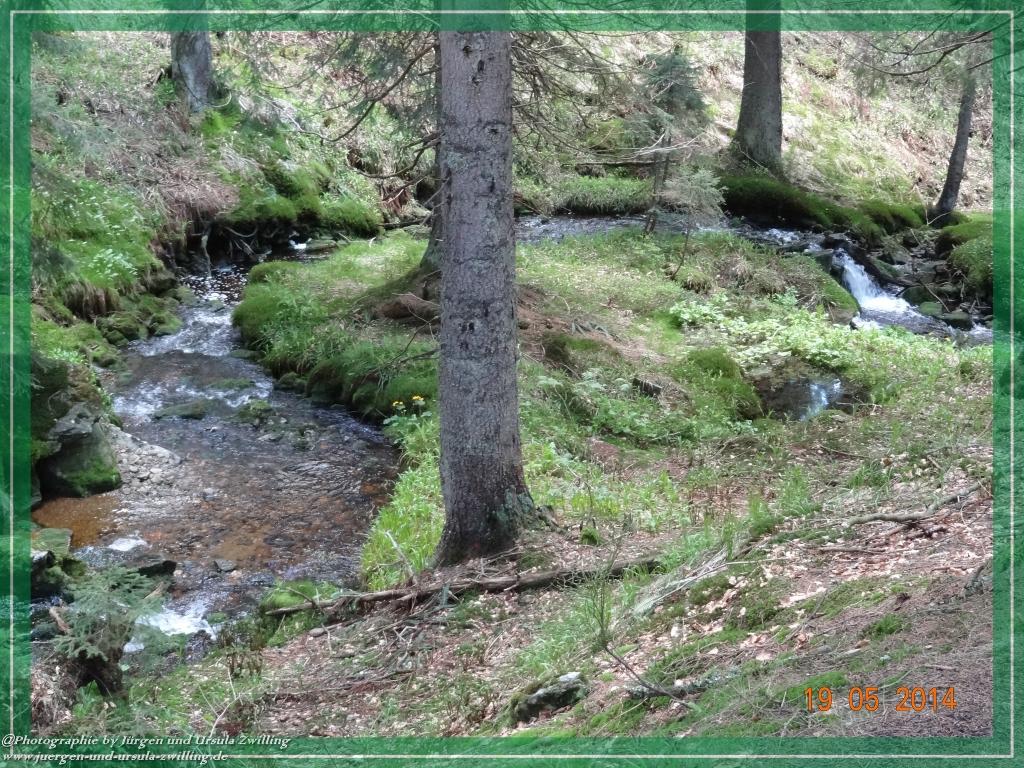 Philosophische BildwanderungBodenmais - Rißlochfälle - Kleiner Arber - Großer Arber - Rißlaisoch - Bodenmais
