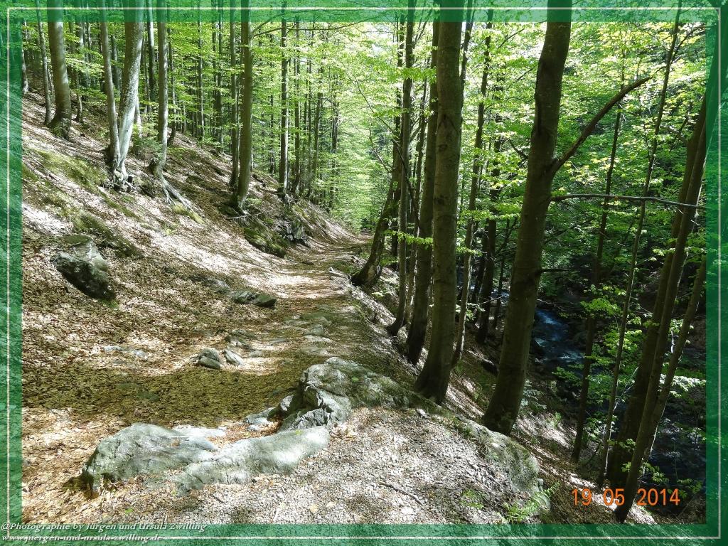 Philosophische BildwanderungBodenmais - Rißlochfälle - Kleiner Arber - Großer Arber - Rißlaisoch - Bodenmais