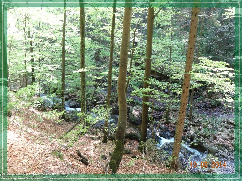 Philosophische BildwanderungBodenmais - Rißlochfälle - Kleiner Arber - Großer Arber - Rißlaisoch - Bodenmais