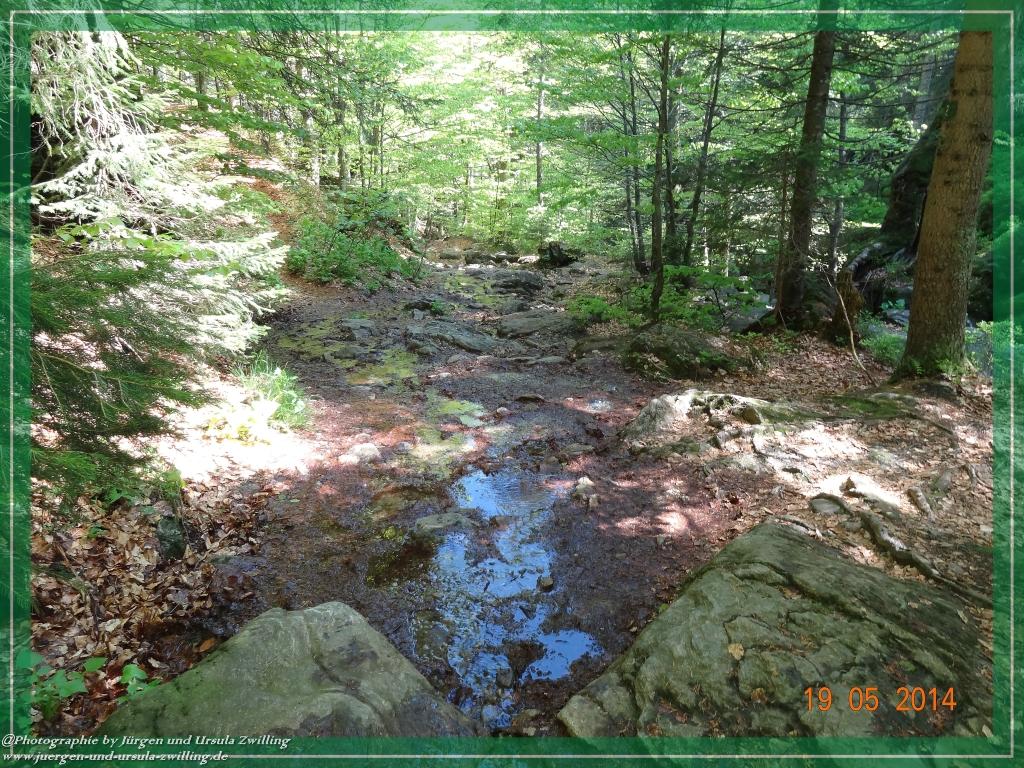 Philosophische BildwanderungBodenmais - Rißlochfälle - Kleiner Arber - Großer Arber - Rißlaisoch - Bodenmais