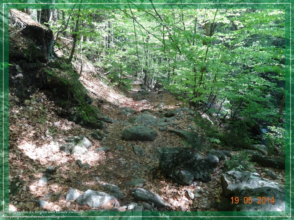 Philosophische BildwanderungBodenmais - Rißlochfälle - Kleiner Arber - Großer Arber - Rißlaisoch - Bodenmais