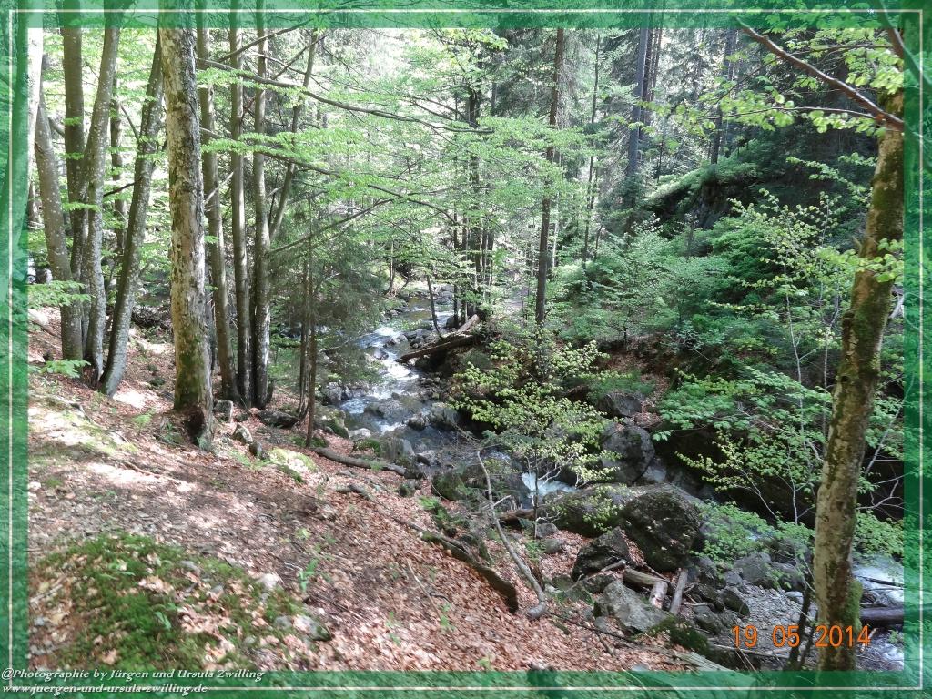 Philosophische BildwanderungBodenmais - Rißlochfälle - Kleiner Arber - Großer Arber - Rißlaisoch - Bodenmais