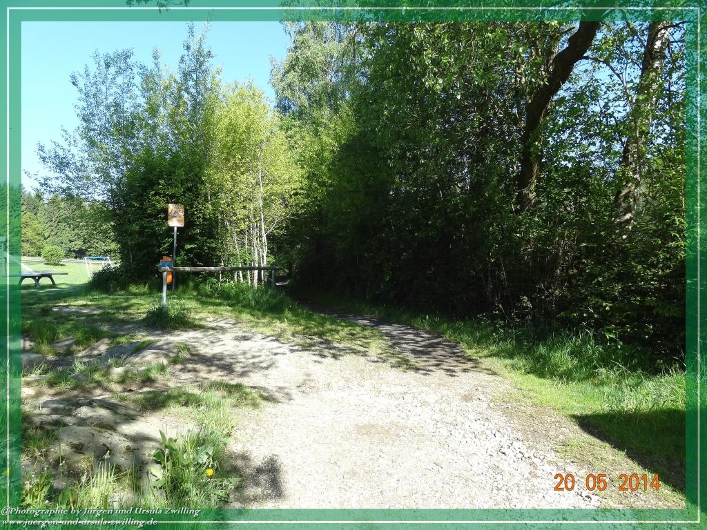 Philosophische Bildwanderung Premiumwanderweg Schachtenbach (Hennenkobel) - Wanderung - Bayrischer Wald