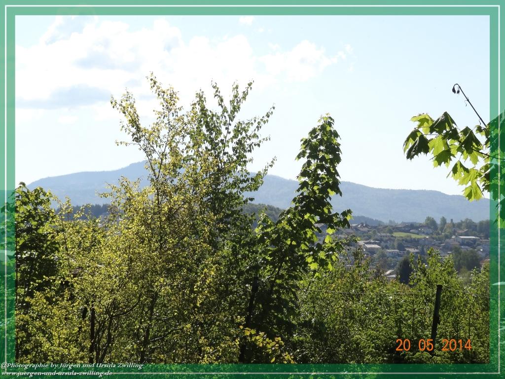 Philosophische Bildwanderung Premiumwanderweg Schachtenbach (Hennenkobel) - Wanderung - Bayrischer Wald