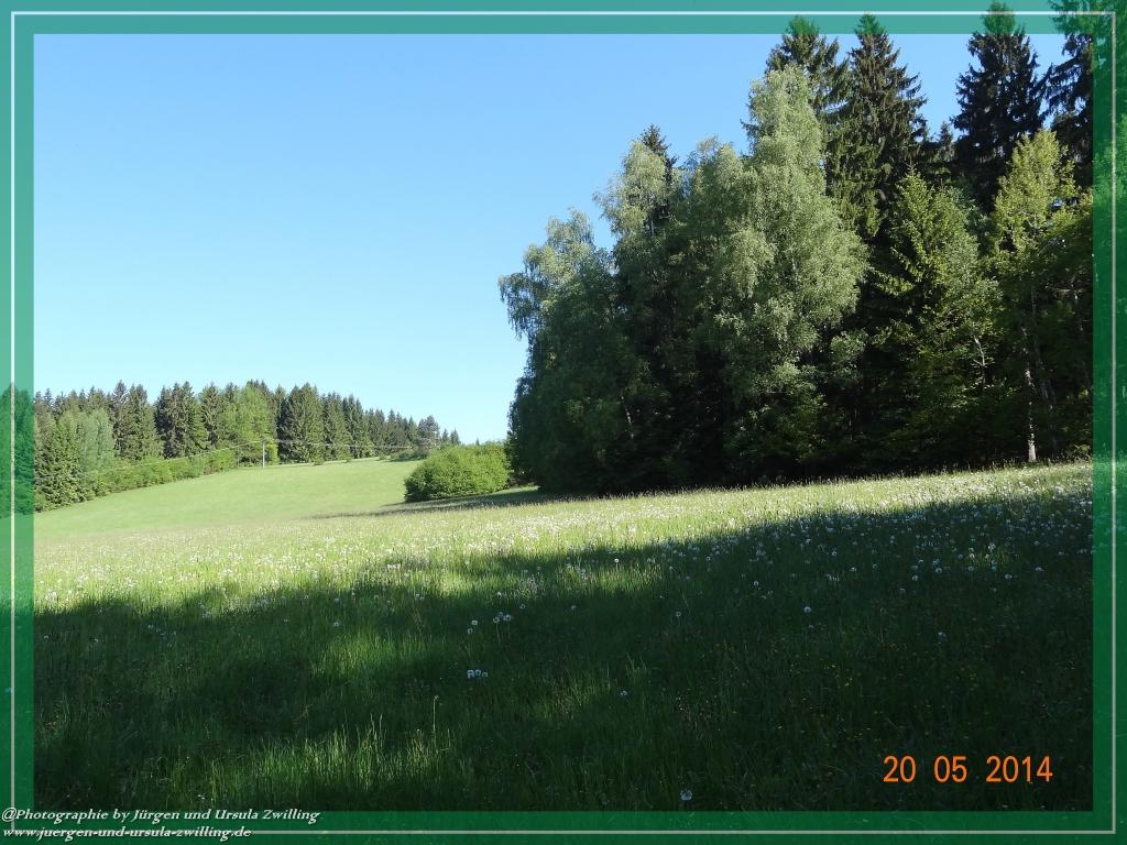 Philosophische Bildwanderung Premiumwanderweg Schachtenbach (Hennenkobel) - Wanderung - Bayrischer Wald