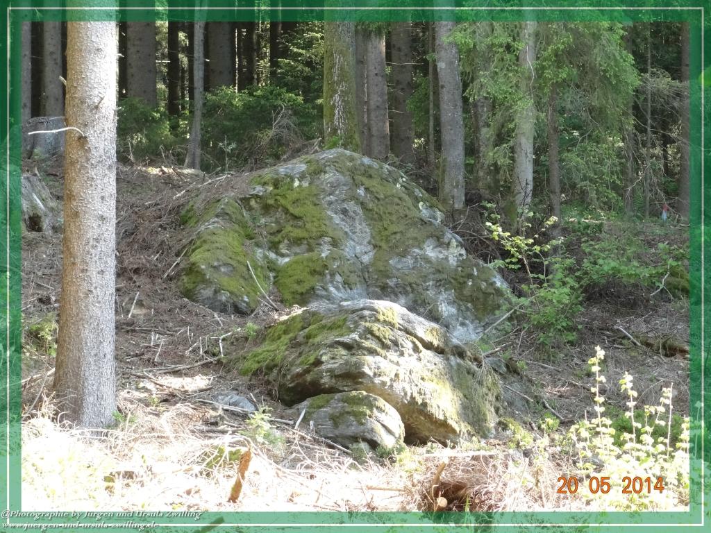 Philosophische Bildwanderung Premiumwanderweg Schachtenbach (Hennenkobel) - Wanderung - Bayrischer Wald
