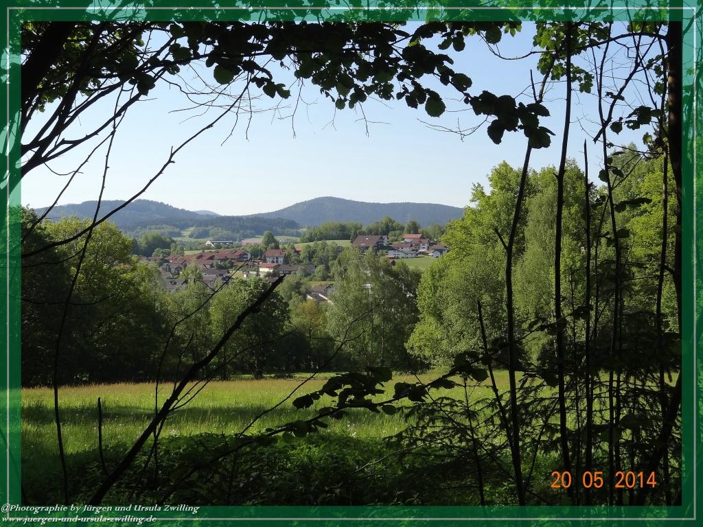 Philosophische Bildwanderung Premiumwanderweg Schachtenbach (Hennenkobel) - Wanderung - Bayrischer Wald