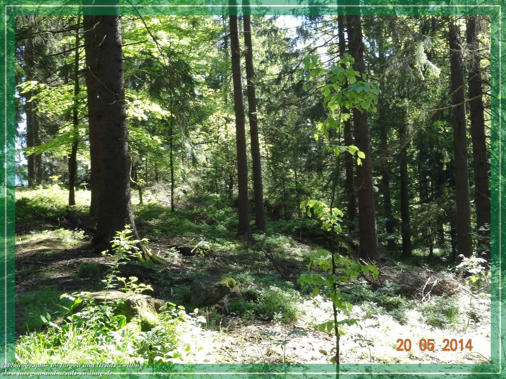 Philosophische Bildwanderung Premiumwanderweg Schachtenbach (Hennenkobel) - Wanderung - Bayrischer Wald