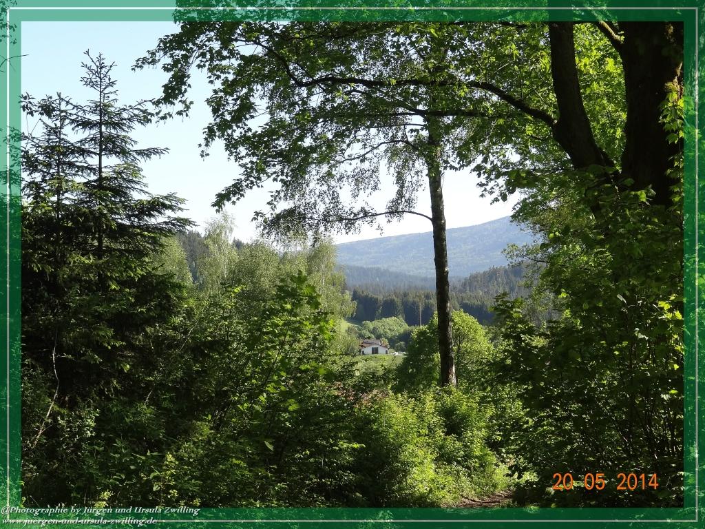 Philosophische Bildwanderung Premiumwanderweg Schachtenbach (Hennenkobel) - Wanderung - Bayrischer Wald