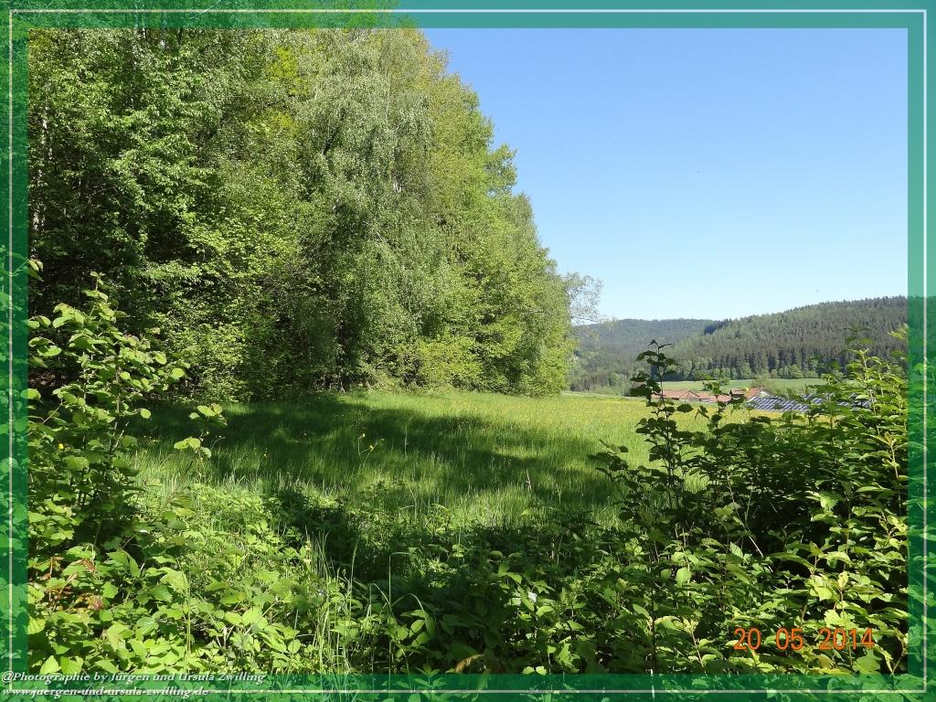 Philosophische Bildwanderung Premiumwanderweg Schachtenbach (Hennenkobel) - Wanderung - Bayrischer Wald