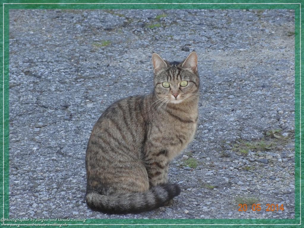 Philosophische Bildwanderung Premiumwanderweg Schachtenbach (Hennenkobel) - Wanderung - Bayrischer Wald
