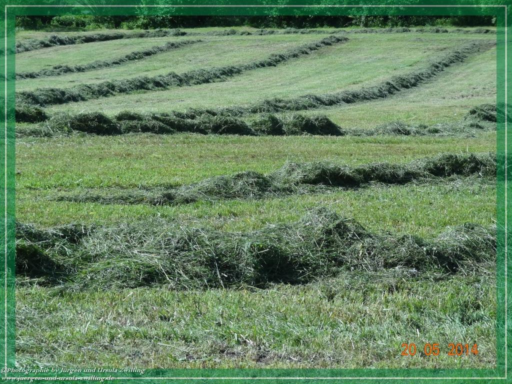 Philosophische Bildwanderung Premiumwanderweg Schachtenbach (Hennenkobel) - Wanderung - Bayrischer Wald